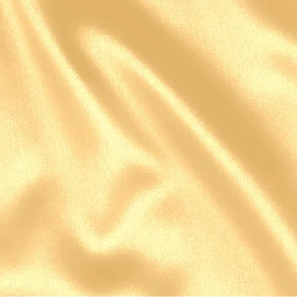 Foulard Cheveux en Satin Champagne - Evolve