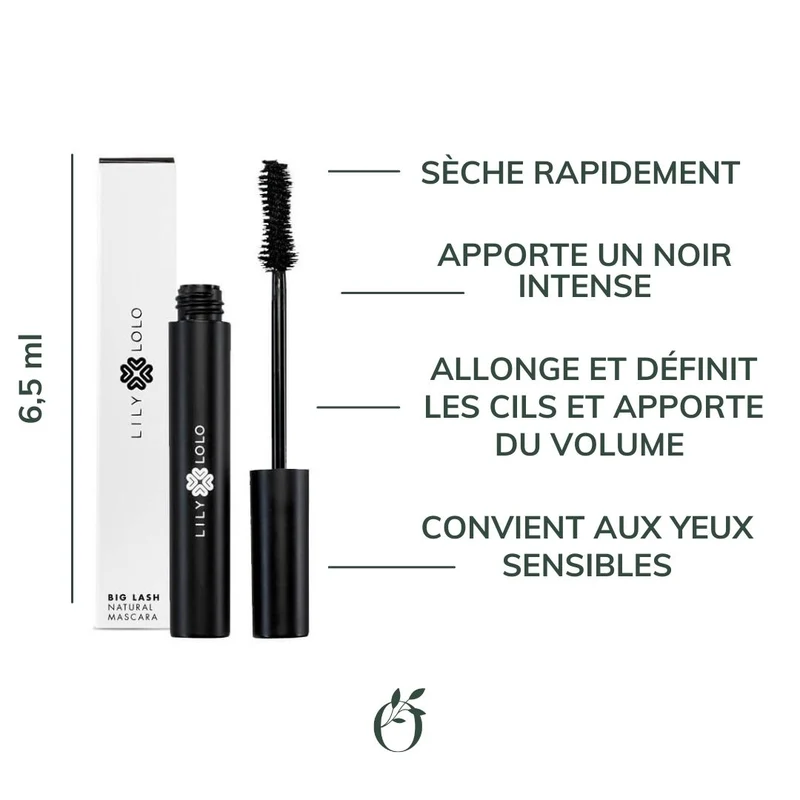 Mascara Big Lash
