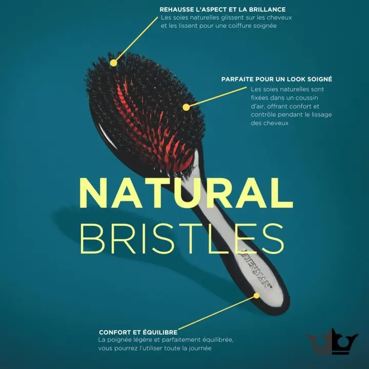 Brosse Pneumatique Poils de sanglier D82S - Denman