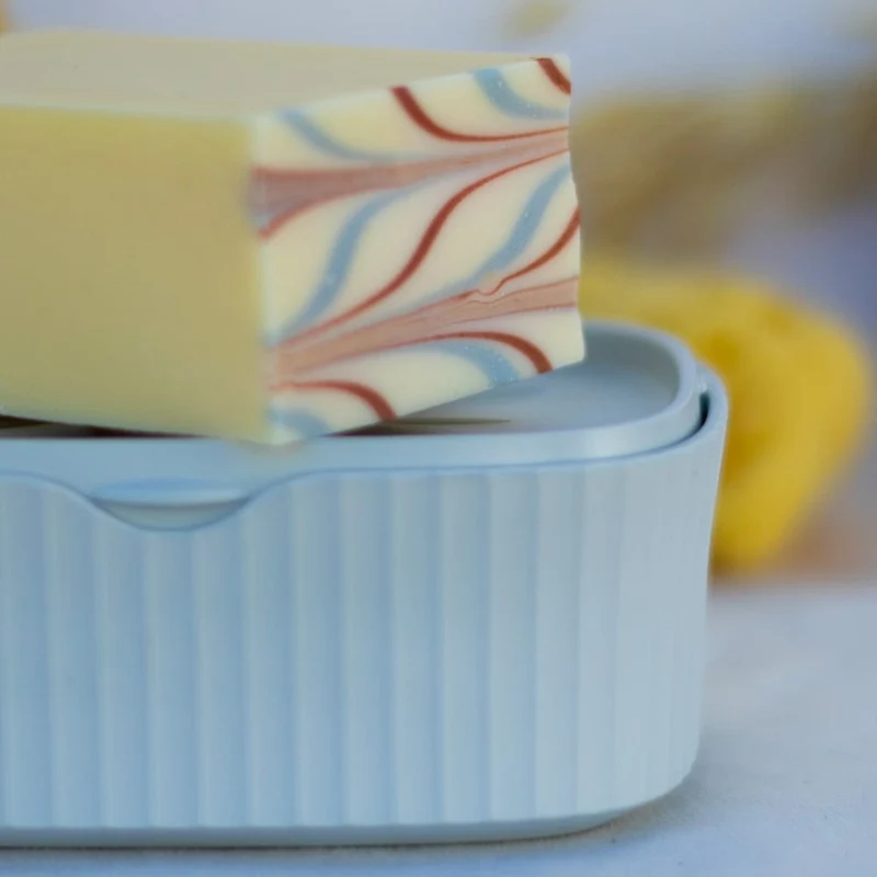 Boîte à savon recyclée 2 en 1