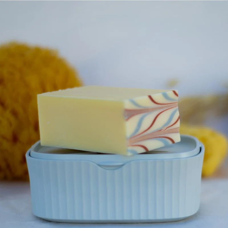 Boîte à savon recyclée 2 en 1
