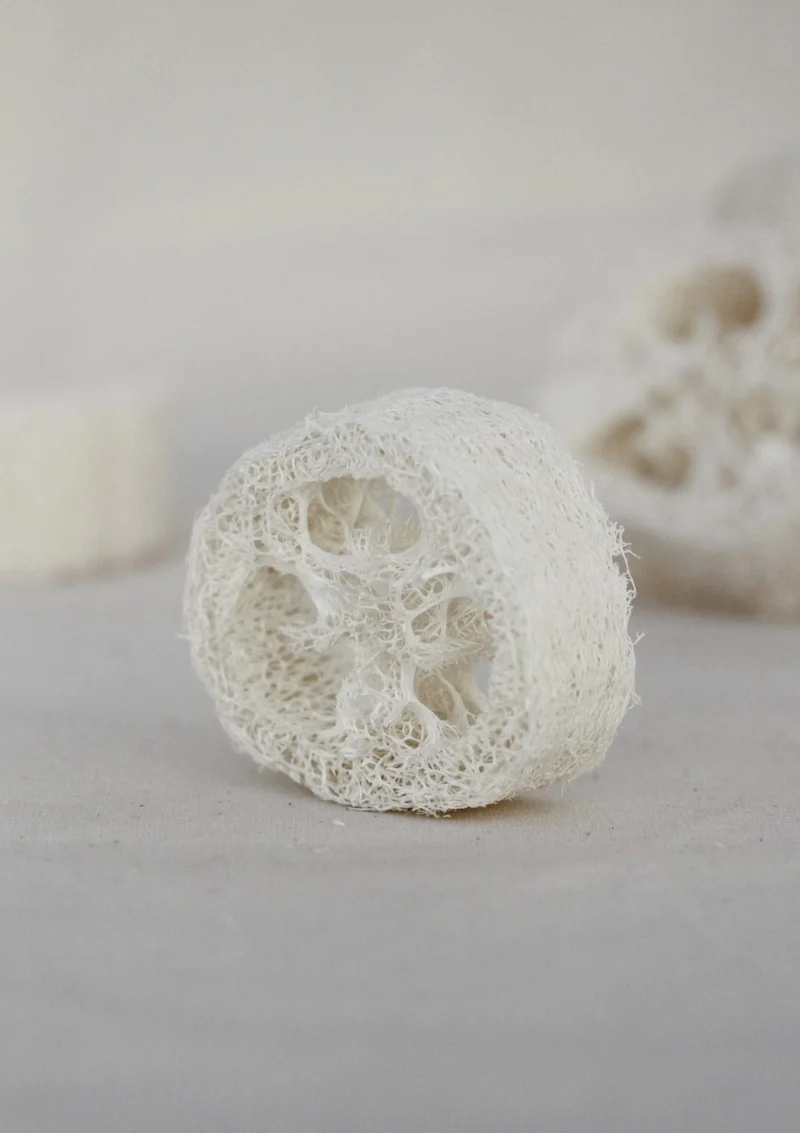 Porte-savon Loofah