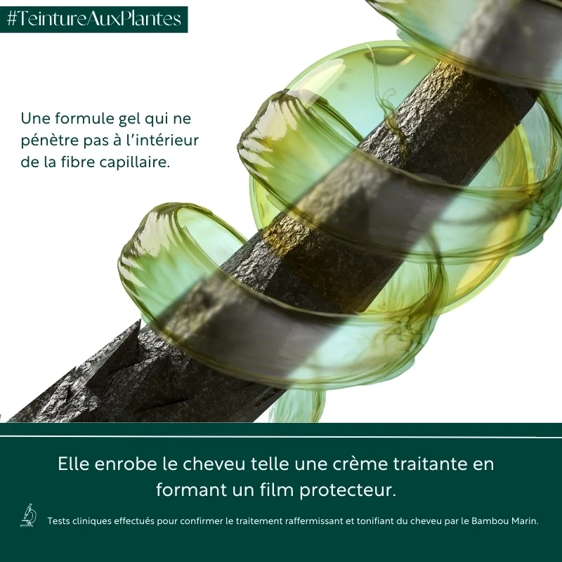 La Teinture aux plantes - Le Reflet