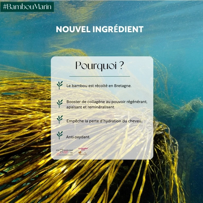 La Teinture aux plantes - Le Reflet