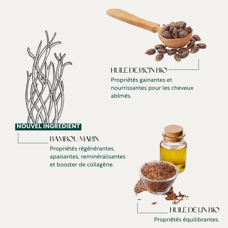 La Teinture aux plantes - Le Reflet