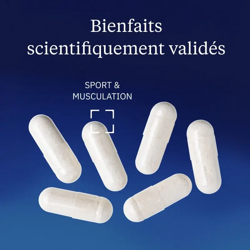 Créatine monohydrate Creapure (Poudre)