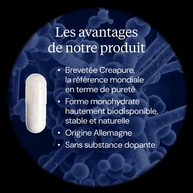 Créatine monohydrate Creapure (Poudre)