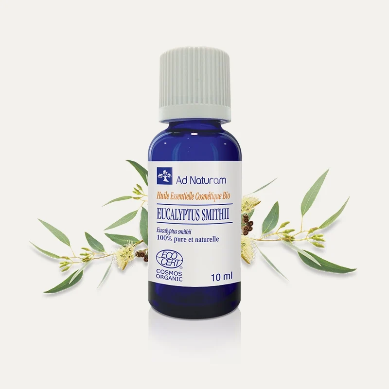 Huile essentielle Eucalyptus Smithii BIO
