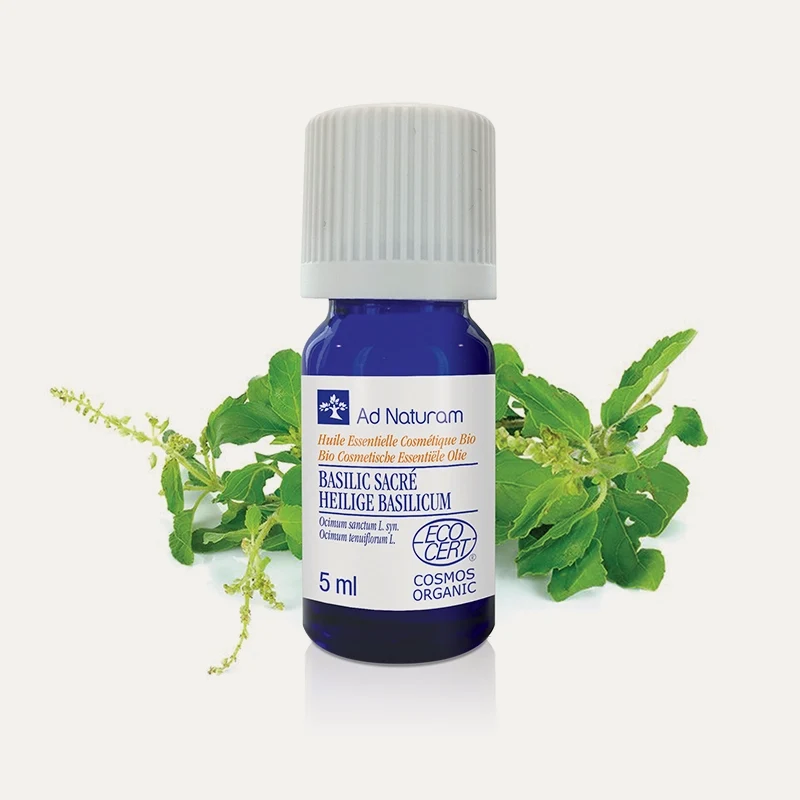 Huile essentielle Basilic sacré BIO