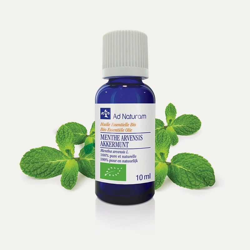 Huile essentielle Menthe des champs arvensis BIO