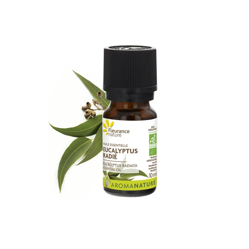 Huile essentielle d’Eucalyptus radié BIO