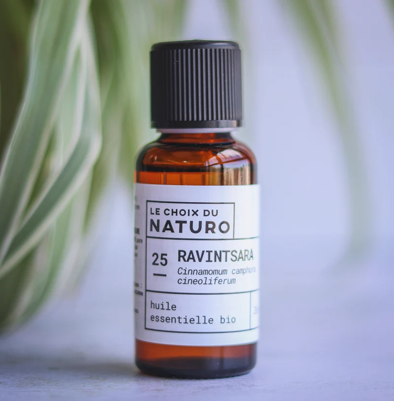 Huile essentielle Ravintsara bio