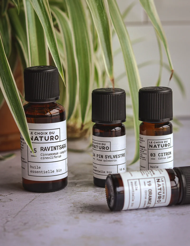 Huile essentielle Ravintsara bio