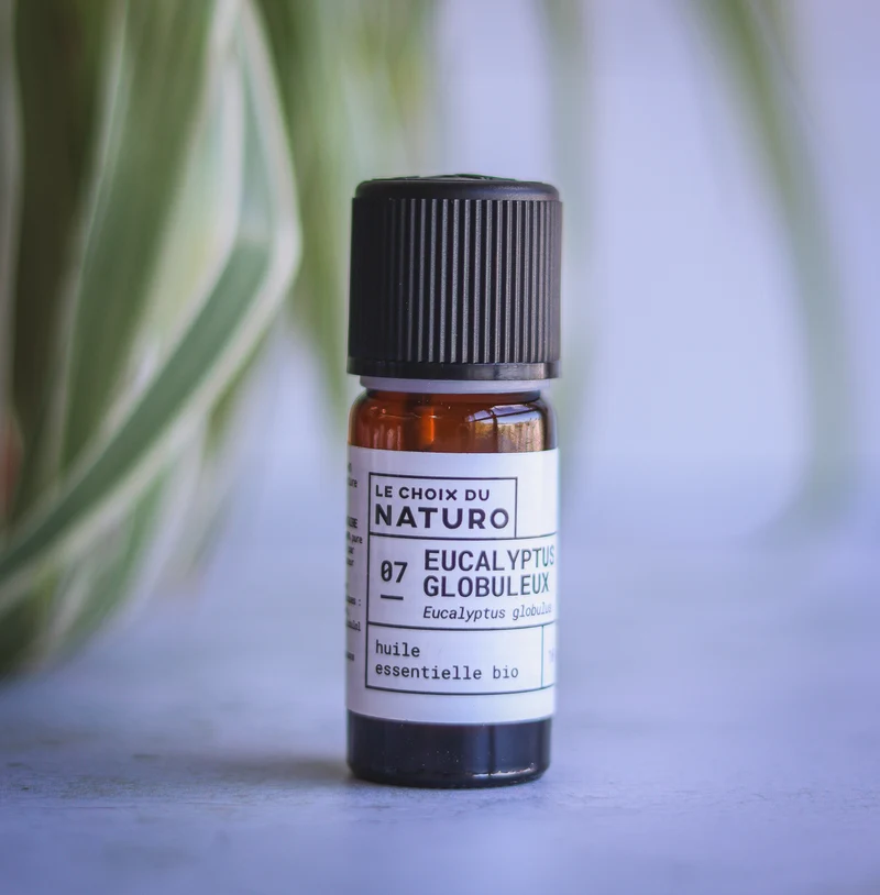 Huile essentielle Eucalyptus globulus bio