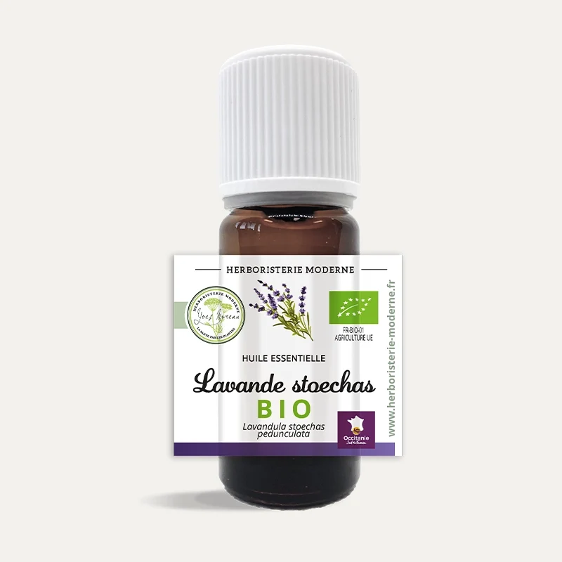 Huile essentielle Lavande stoechade BIO - Lavande papillon stoechas