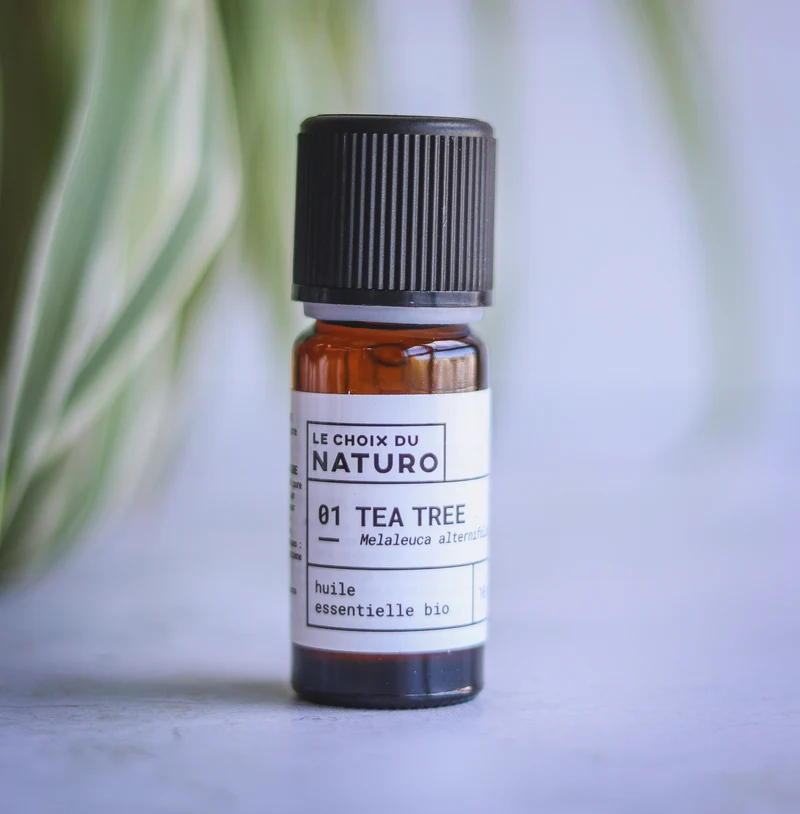 Huile essentielle Tea tree bio