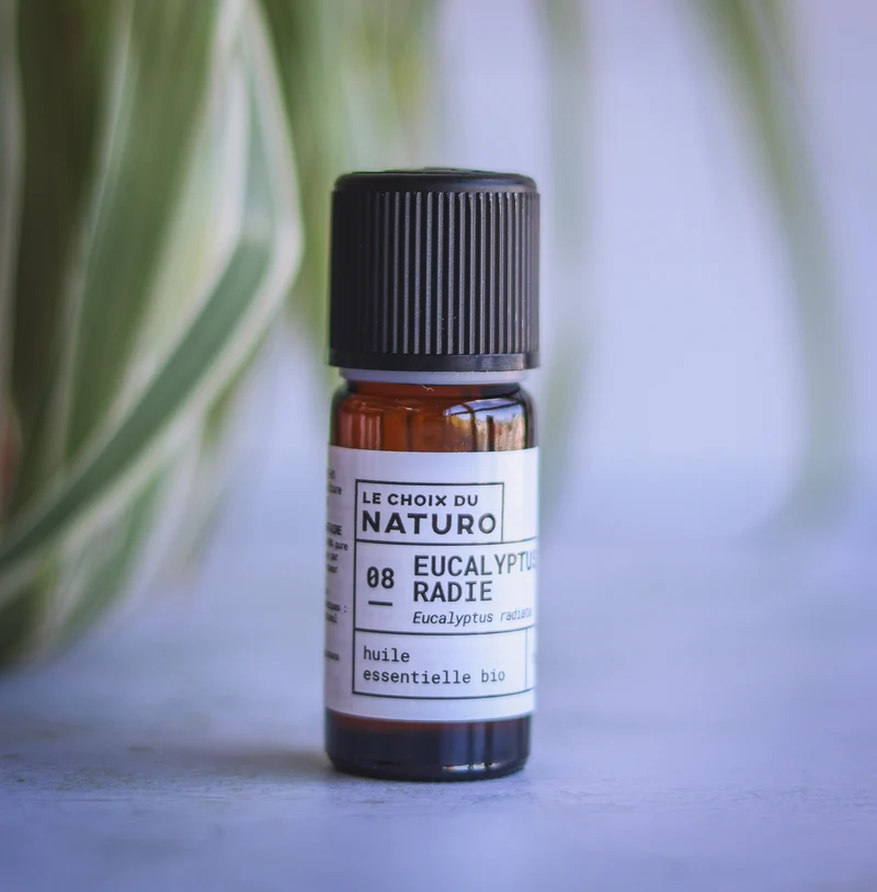 Huile essentielle Eucalyptus radié bio