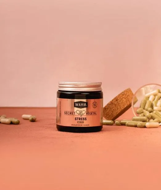 Complément Alimentaire Anti-Stress