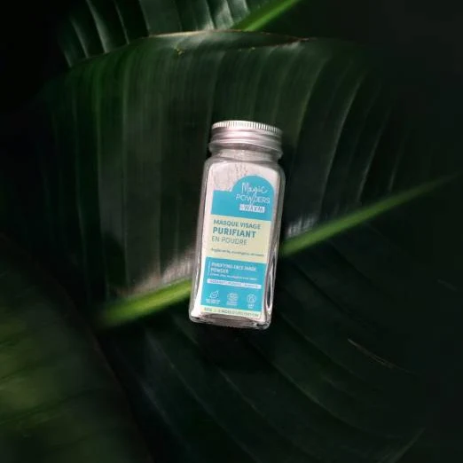 Masque Visage Purifiant en Poudre