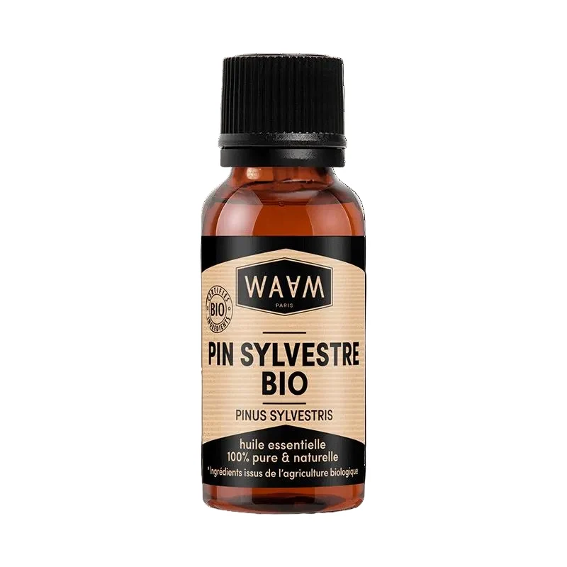 Huile Essentielle de Pin Sylvestre BIO