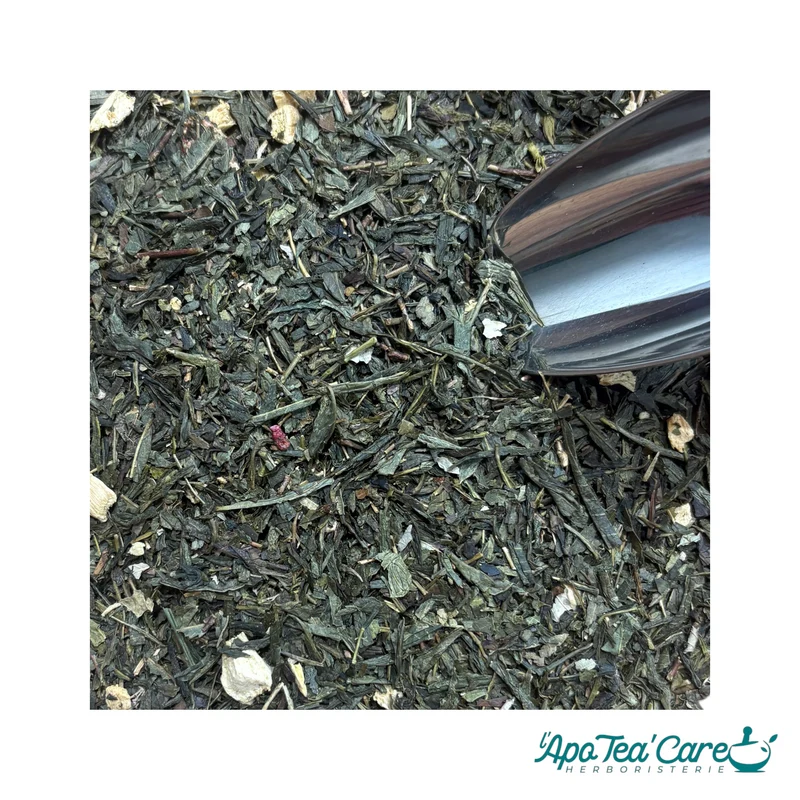 Thé Vert Fraise Rhubarbe – Mûre, Acidulé & Fruité